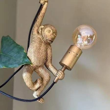 Villa La De L Observatoire Jacuzzi Vue Donville-les-Bains