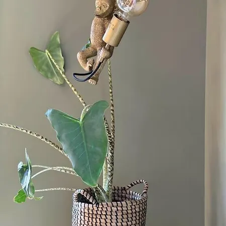 La De L Observatoire Jacuzzi Vue Villa