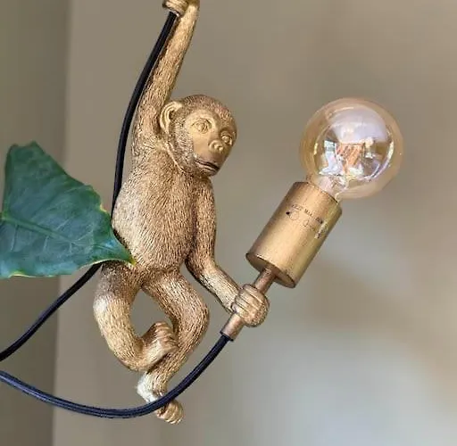 Villa La De L Observatoire Jacuzzi Vue Donville-les-Bains