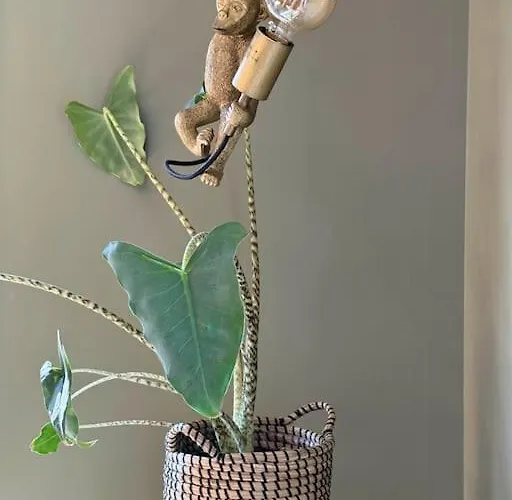 La De L Observatoire Jacuzzi Vue Villa